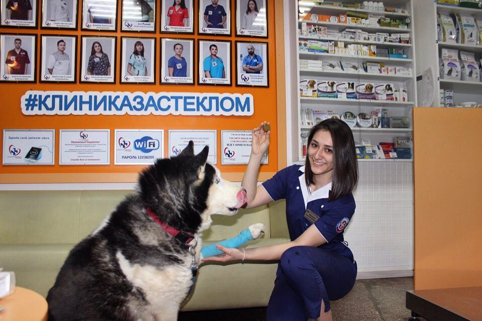 Установка АТС для "Крымского ветеринарного центра 24 часа"